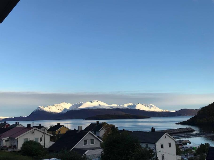 Perfect Apartment For Whale Safari At Skjervoy! エクステリア 写真